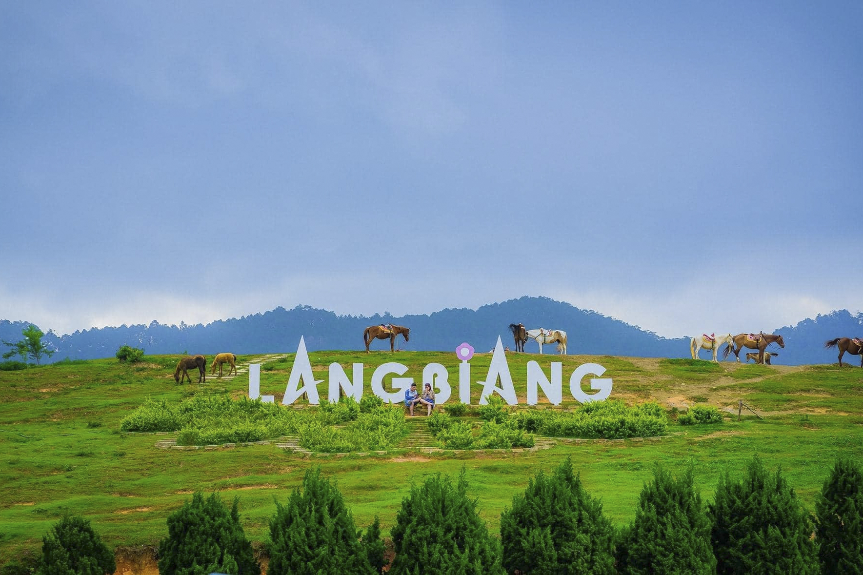 may_da_lat-cam_trai-1